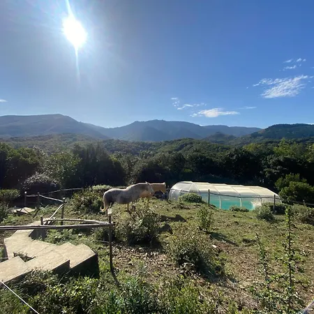 70m2 Avec Piscine * Saint-Genies-de-Varensal