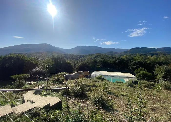 70m2 Avec Piscine * Saint-Genies-de-Varensal